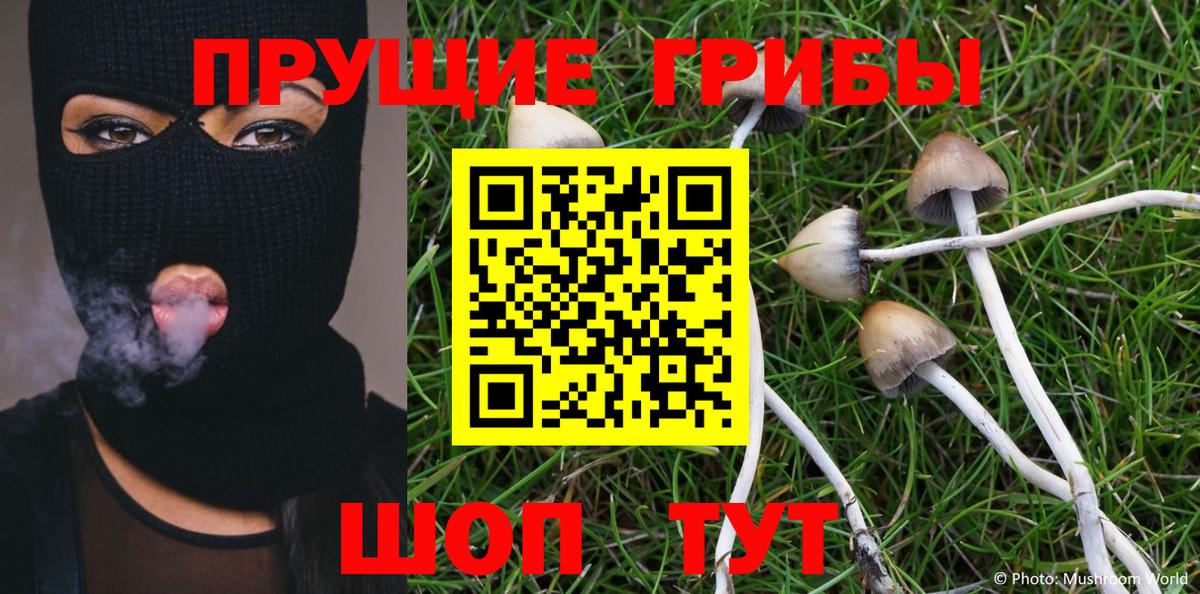 Галлюциногенные грибы MAGIC MUSHROOMS  закладка  Галлюциногенные грибы GOLDEN TEACHER  Орёл  Вход с VPN 