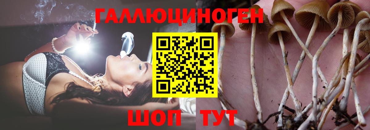 Псилоцибиновые грибы прущие грибы Орёл